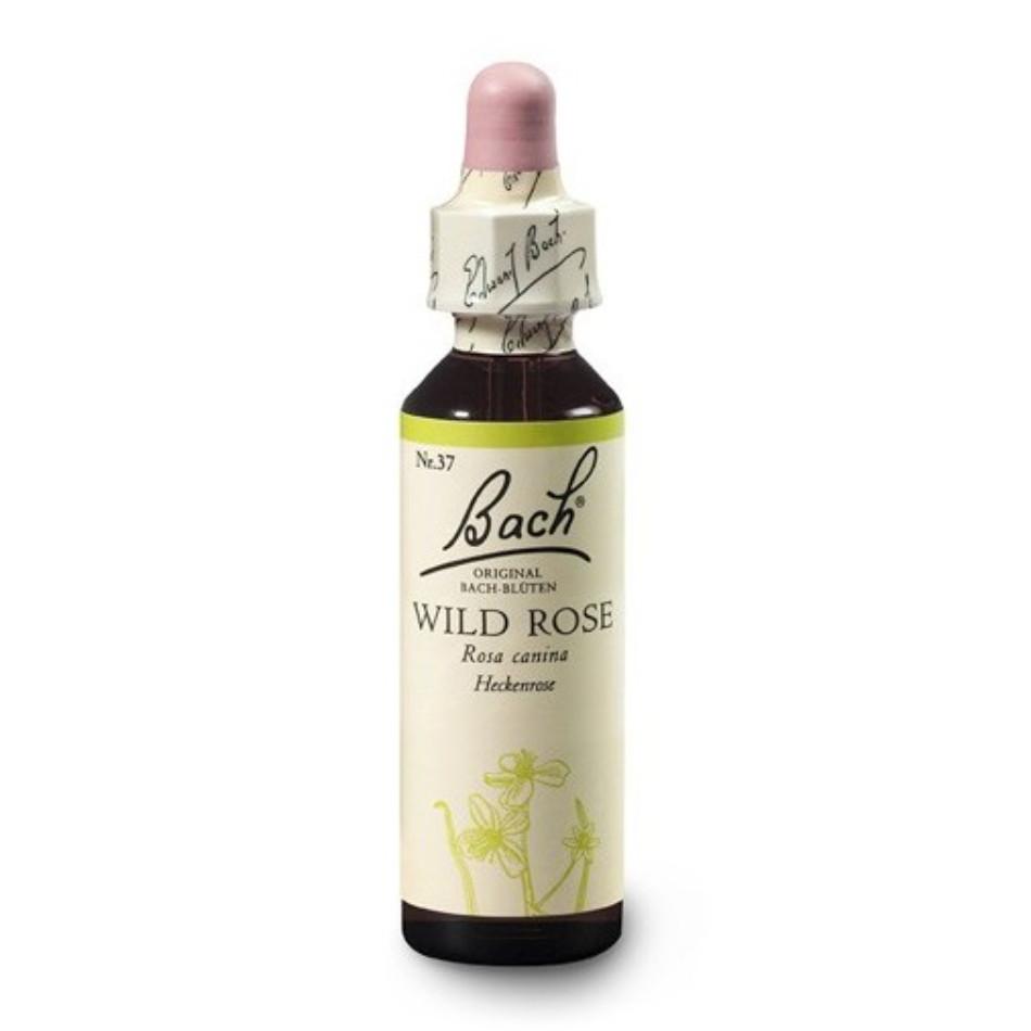Dr. Bach Esence Wild Rose 20 ml