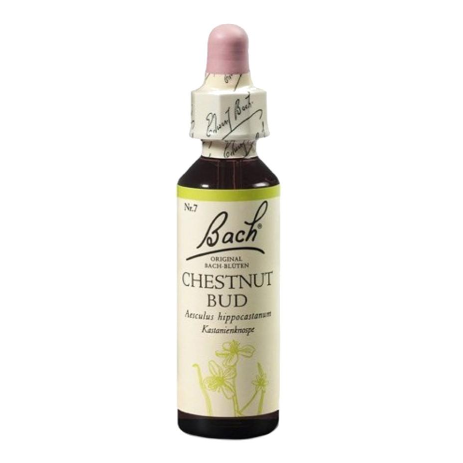 Dr. Bach Esence Chestnut Bud 20 ml