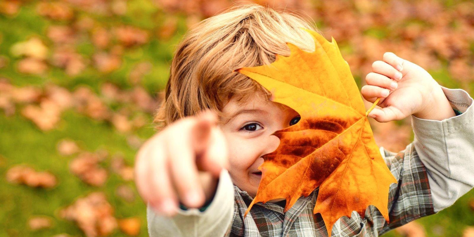 Tipy na aktivity pro děti v podzimní sezóně!