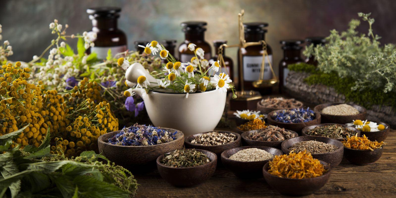 Víte, které bylinky jsou hotový zázrak pro Vaši imunitu?