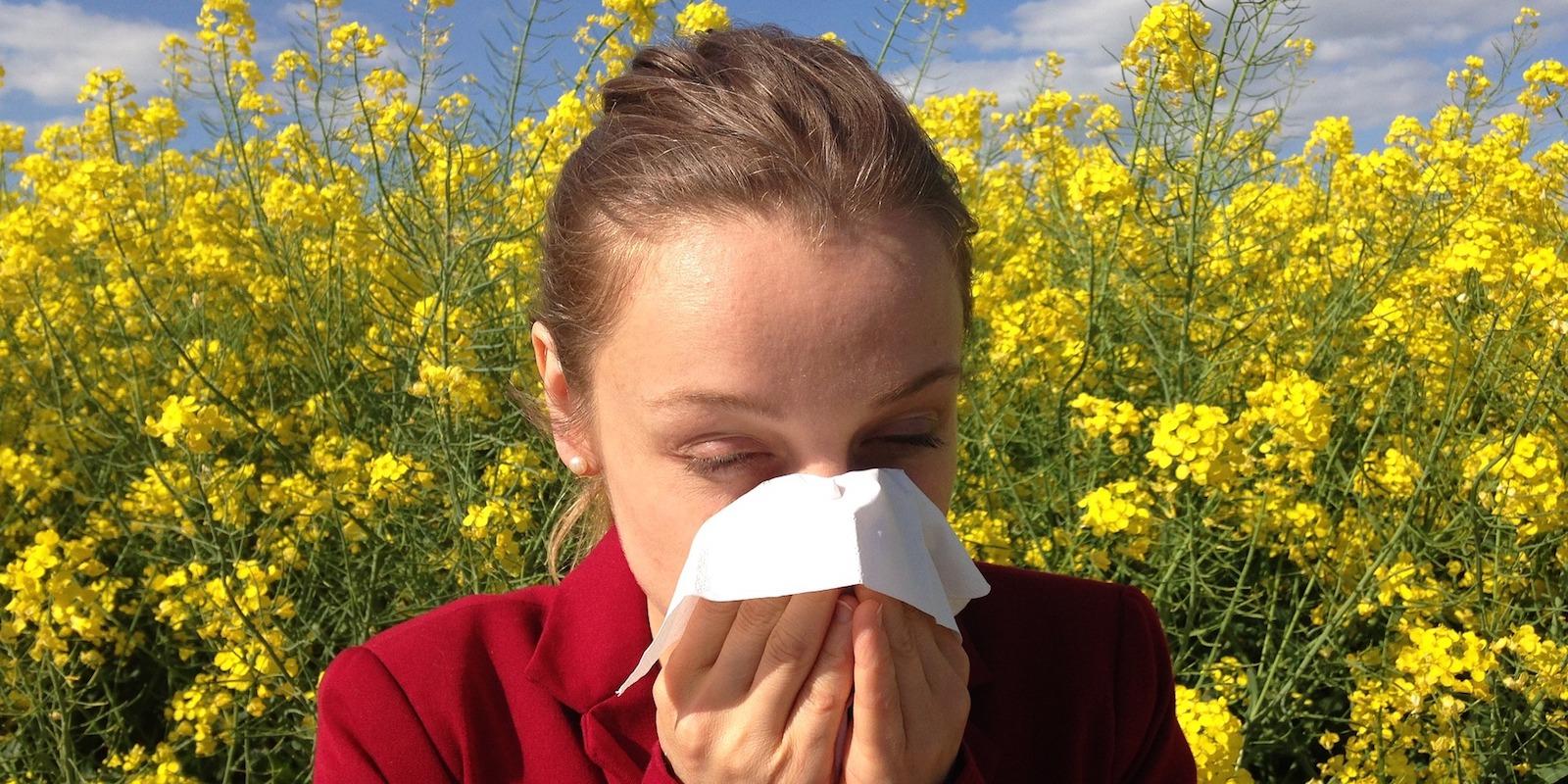 Byliny proti alergiím