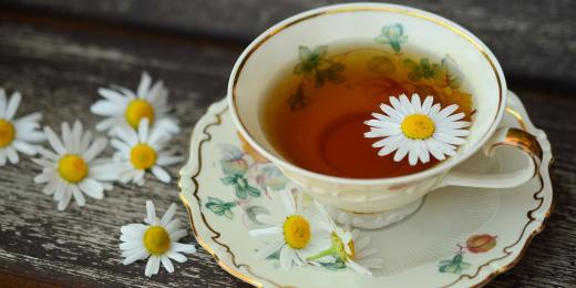 7 tipů jak vybrat čaj jako dárek