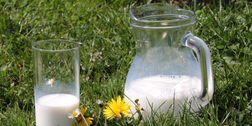 Je konzumace mléka zdravá?