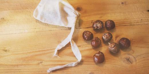 Mýdlové ořechy nejen na praní