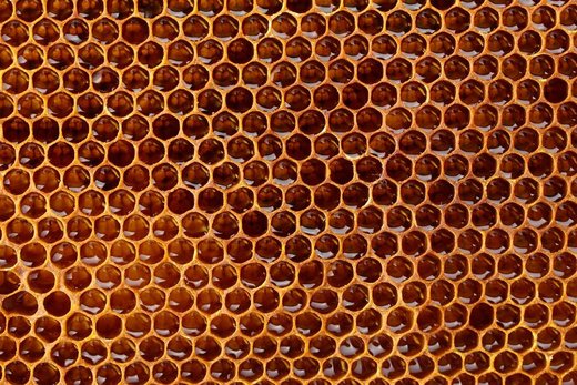Propolis - včelí pomoc na nemoci od A do Z