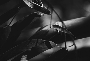 Black Friday: mega slevy 50 až 90 %