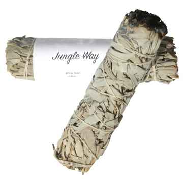 Jungle Way Šalvěj bílá (18 cm)  1 ks