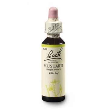 Dr. Bach Esence Mustard 20 ml
