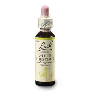 Dr. Bach Esence White Chestnut 20 ml