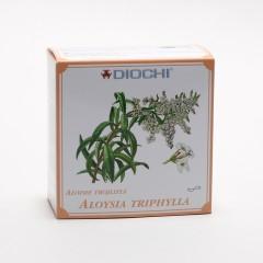 Diochi Aloysia triphylla (aloisie trojlistá) 80 g